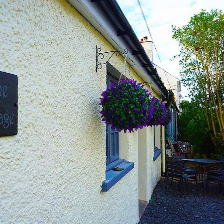 Staycation At Pine Cottage, A Newly Refurbished Holiday Cottage Goodwick Exterior photo