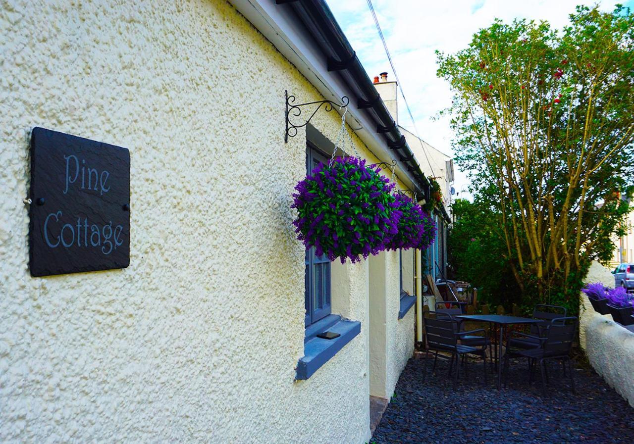 Staycation At Pine Cottage, A Newly Refurbished Holiday Cottage Goodwick Exterior photo